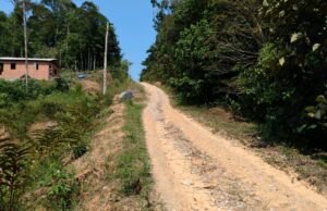 Imagem da notícia - Governo do Amazonas irá recuperar o Ramal das Flores em Manaus