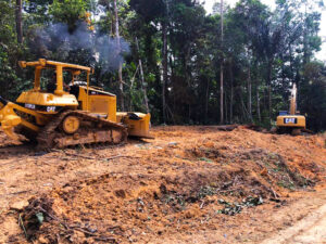 Imagem da notícia - Governo do Amazonas inicia obra de pavimentação do Ramal das Flores, na BR-174