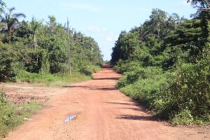 Imagem da notícia - Seinfra assina ordem de serviço para a pavimentação do Ramal do Mapiá, em Borba